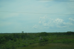 DSCN0829