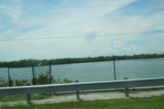 DSCN0831