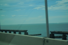 DSCN0875