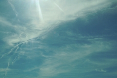 DSCN0890-1