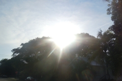 DSCN0894