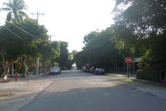 DSCN0895