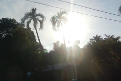 DSCN0897