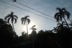 DSCN0899
