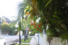 DSCN0901