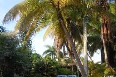 DSCN0904