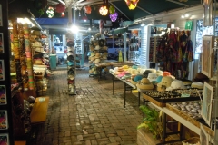 DSCN0934