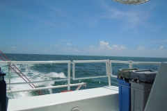 DSCN0944