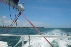 DSCN0947