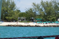 DSCN0951
