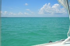 DSCN0961