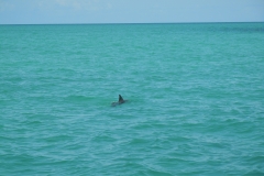 DSCN0965