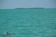 DSCN0985