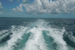 DSCN1031-1