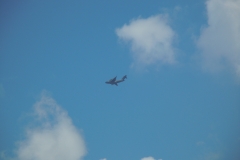 DSCN1049