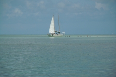 DSCN1056