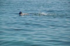 DSCN1061