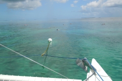 DSCN1073