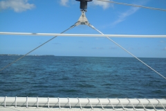 DSCN1098
