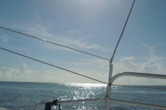 DSCN1138