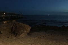 DSCN1151-7