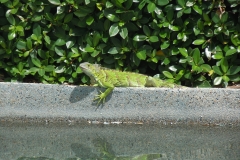 DSCN1158