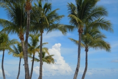 DSCN1168