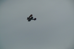 DSCN1182-1