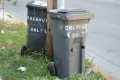 DSCN1252