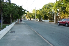 DSCN1253