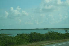 DSCN1272