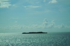 DSCN1283