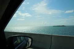 DSCN1284