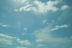 DSCN1287