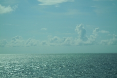 DSCN1288