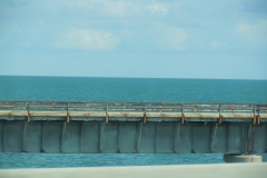DSCN1290