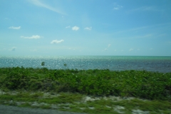DSCN1313