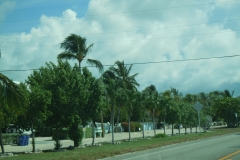 DSCN1314