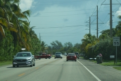 DSCN1316