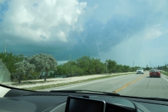 DSCN1317