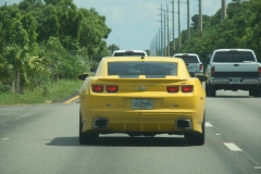 DSCN1330
