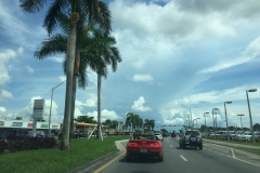 DSCN1339-12