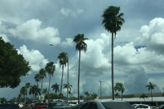 DSCN1339-36