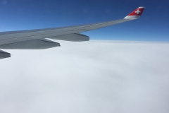 DSCN1339-93