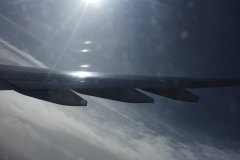 DSCN1339-95