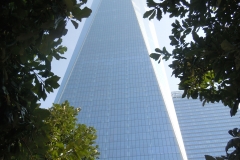 DSCN0284