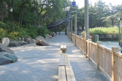 DSCN0301