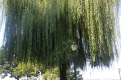 DSCN0302