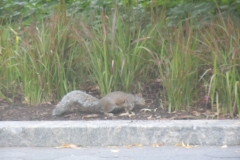 DSCN0305