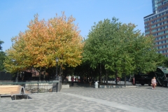 DSCN0306